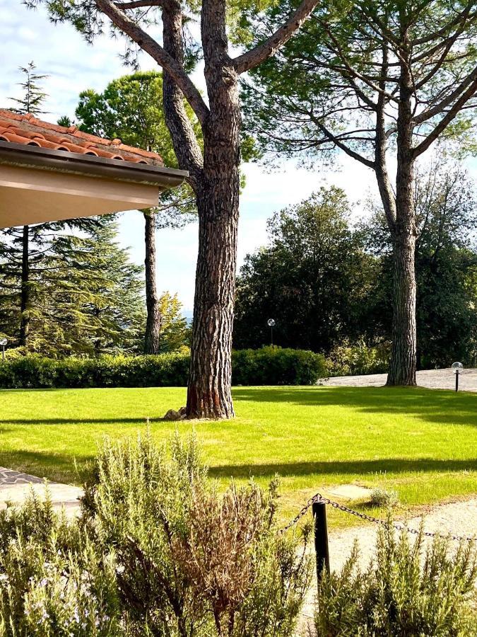 Nuances Del Conero Relais Panzió Castelfidardo Kültér fotó